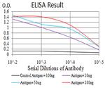 RIG-I Antibody in ELISA (ELISA)