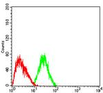 DNMT3L Antibody in Flow Cytometry (Flow)