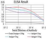 DAB2 Antibody in ELISA (ELISA)