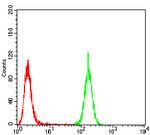 Emerin Antibody in Flow Cytometry (Flow)