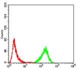 Emerin Antibody in Flow Cytometry (Flow)