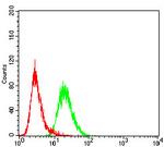 FBXL10 Antibody in Flow Cytometry (Flow)