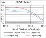 FGF4 Antibody in ELISA (ELISA)