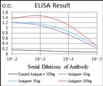 FGF4 Antibody in ELISA (ELISA)