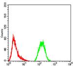 GFPT1 Antibody in Flow Cytometry (Flow)