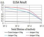 GluR7 Antibody in ELISA (ELISA)