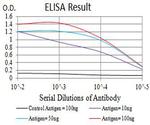 GRIK4 Antibody in ELISA (ELISA)