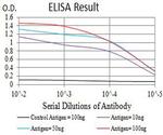 GRIK5 Antibody in ELISA (ELISA)