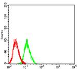 NMDAR3B Antibody in Flow Cytometry (Flow)