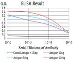 mGluR6 Antibody in ELISA (ELISA)