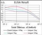 GSTM1 Antibody in ELISA (ELISA)