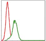 GSTM1 Antibody in Flow Cytometry (Flow)