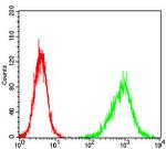 HH3 Antibody in Flow Cytometry (Flow)