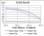 Histone H3 Antibody in ELISA (ELISA)