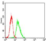 Histone H3 Antibody in Flow Cytometry (Flow)