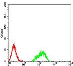 H4K20me3 Antibody in Flow Cytometry (Flow)