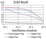 HTR3A Antibody in ELISA (ELISA)