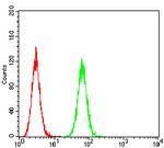 HTR3B Antibody in Flow Cytometry (Flow)