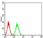 IGHA1 Antibody in Flow Cytometry (Flow)