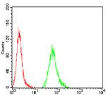 KBTBD8 Antibody in Flow Cytometry (Flow)