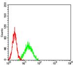 JMJD2B Antibody in Flow Cytometry (Flow)