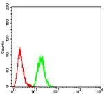 KDM5B Antibody in Flow Cytometry (Flow)