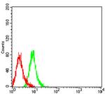 KIR3DL1 Antibody in Flow Cytometry (Flow)