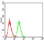 LHR Antibody in Flow Cytometry (Flow)