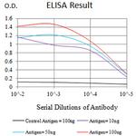 LILRA5 Antibody in ELISA (ELISA)