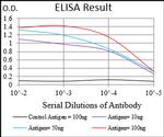 ChREBP Antibody in ELISA (ELISA)