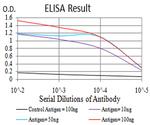 MOB1A Antibody in ELISA (ELISA)