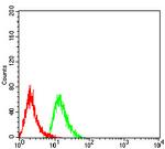 MOB1A Antibody in Flow Cytometry (Flow)