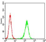 MURF1 Antibody in Flow Cytometry (Flow)