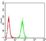 PXR Antibody in Flow Cytometry (Flow)