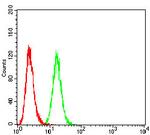 P2Y1 Antibody in Flow Cytometry (Flow)