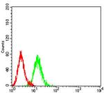 P2Y1 Antibody in Flow Cytometry (Flow)