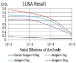 P2Y14 Antibody in ELISA (ELISA)