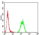 P2Y14 Antibody in Flow Cytometry (Flow)