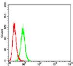 P2Y4 Antibody in Flow Cytometry (Flow)