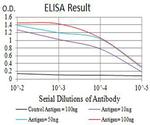 P2Y8 Antibody in ELISA (ELISA)