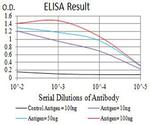 P2Y8 Antibody in ELISA (ELISA)