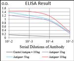 PAPLN Antibody in ELISA (ELISA)