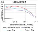 PAPLN Antibody in ELISA (ELISA)