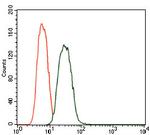 PDE1B Antibody in Flow Cytometry (Flow)