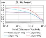 PDK2 Antibody in ELISA (ELISA)