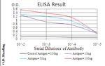 PDPK1 Antibody in ELISA (ELISA)