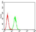 PDPK1 Antibody in Flow Cytometry (Flow)