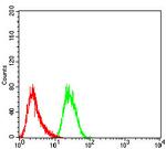 Phospho-NLRC4 (Ser533) Antibody in Flow Cytometry (Flow)