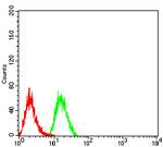 PLD2 Antibody in Flow Cytometry (Flow)