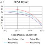 Plexin-A1 Antibody in ELISA (ELISA)